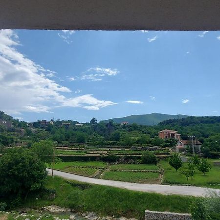 Apartman Nature Zvecanje Екстер'єр фото